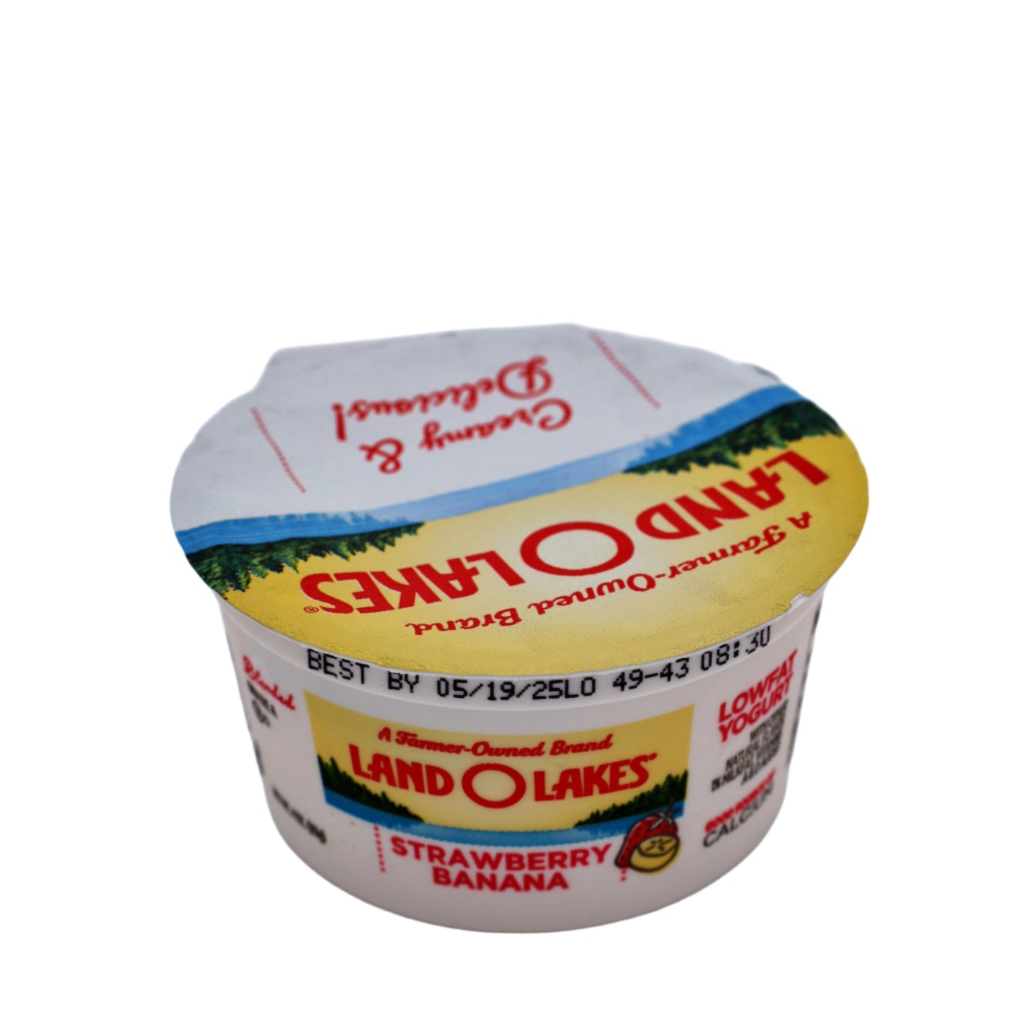 Strawberry/Banana Yogurt, 48/4 oz